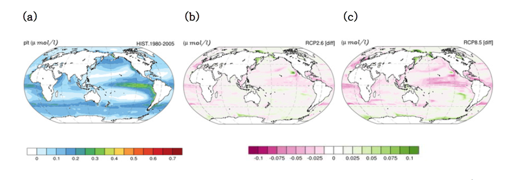 (a) Annual mean surface phyto plankton concentration (μmol l-1) for the period of 1981-2005 and changes of concentrations between the periods of 2081-2099 and 1986-2005 by HadGEM2-CC model for (b) RCP2.6, and (c) RCP8.5.