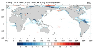 Spatial difference distribution of the salinity (PSU) between the RIV and nRIV experiments.