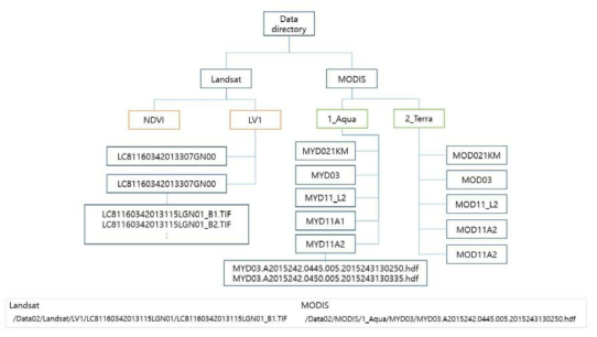 Fold structures and file names of the MODIS and the Landsat input data.