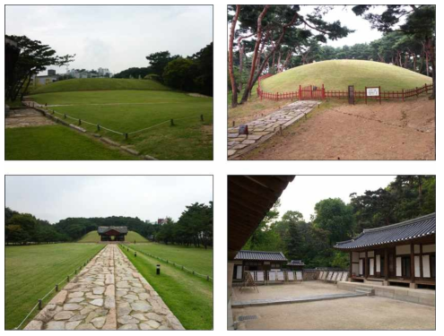 Picture of no-tree site inside Seonjeong.