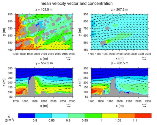 Fields of mean velocity vector and pollutant concentration on the x-y and x-z planes.