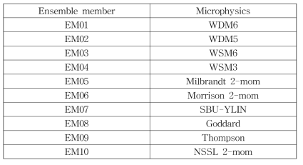 Lists of microphysics adopted for each ensemble members