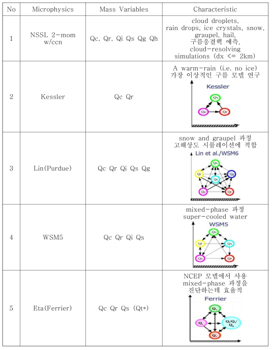 Descriptions of the five additional microphysics