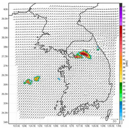 Simulated radar reflectivities (color shading) and wind vectors at the height of 3 km at 0900 KST 27 Jul 2011