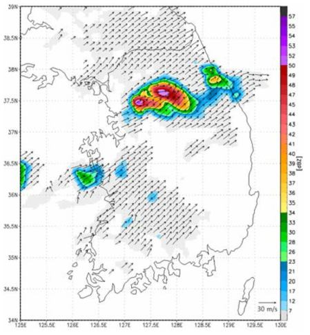 CAPPI image of reflectivity and wind fields retrieved from 9 radars using Multiple Doppler radar analysis at 0900 KST 27 Jul 2011