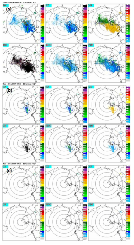 BRI dual-polarization 0.2° PPI at 0910 KST 9 Sep 2016.