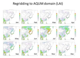 Example of regridded monthly LAI for AQUM domain