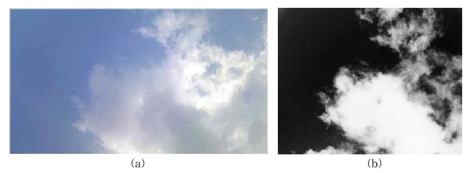 Upward view from ground – visible (a) and IR (b) cameras.