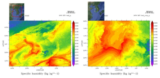 Specific humidity (Q; kg/kg) in LDAPS subsection.