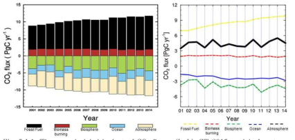 The annual global budget of CO2 fluxes (Left). CT 2015 models four types of surface-to-atmosphere exchange of CO2, each of which is shown in a different color: fossil fuel emissions (black), direct emissions from biomass burnings (reddish brown), terrestrial biosphere flux excluding biomass burnings (green), and air-sea gas exchange (sky-blue). Time series of CO2 flux (Right).