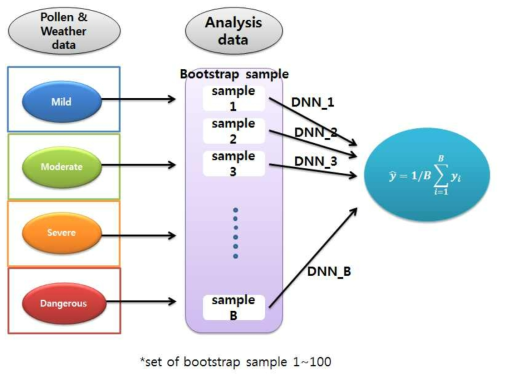 Bootstrap-based deep neural network model.