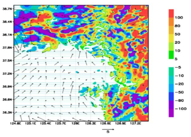 A comparison of wind simulation between GDAPS and LDAPS at 1.5 km resolution: Differences of orographical heights and simulated winds are shown as shaded contours and vectors respectively.