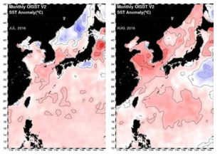 Monthly mean SST anomaly distributions.