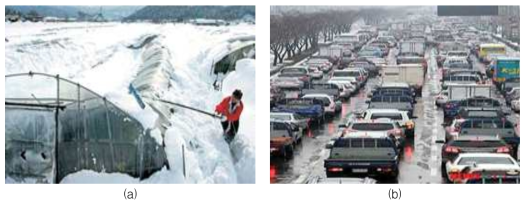 Characteristic of snowfall damage per region(a. Gangneung, b. Busan).