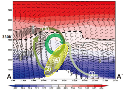 Mimetic diagram associated with Ulleungdo heavy rainfall events in 29 August 2016