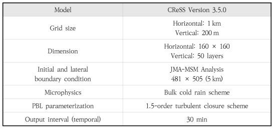 Summary of the CReSS model setup used in this study