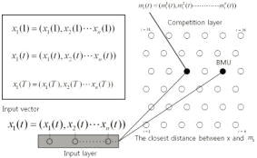 Structure of self-organizing map