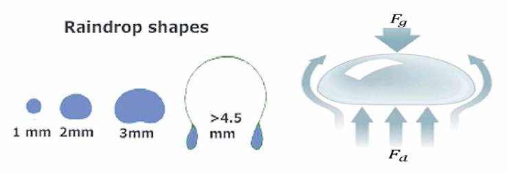 The shape according to the (a) size of the raindrop and the (b) force acting on the raindrop