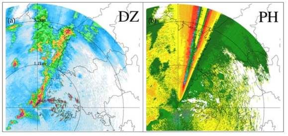 The images of (a) Observed ZH(DZ), (b) Differential phase shift of BRI at 0600 KST 16 Jul 2017.