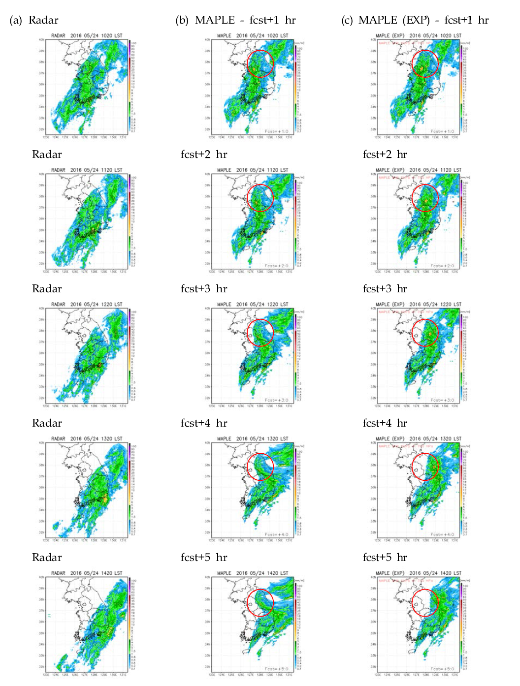 Observed and forecasting precipitation for heavy rainfall case at 1020 KST 24 May 2016