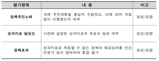 국정과제 특정평가 항목 및 내용