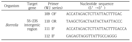 Borrelia 검출 및 분류를 위해 사용되는 oligonucleotide와 타겟 유전자