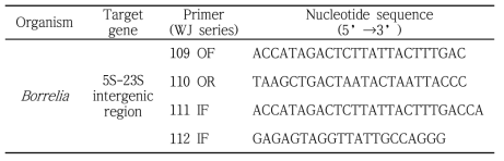 Borrelia 검출 및 분류를 위해 사용되는 oligonucleotide와 타겟 유전자