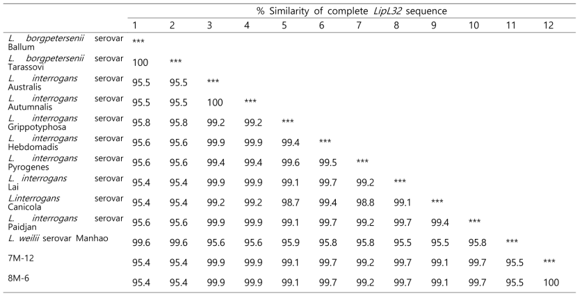 1차년도 분리균주 여러 혈청형간의 LipL32 염기서열 유사 매트릭스