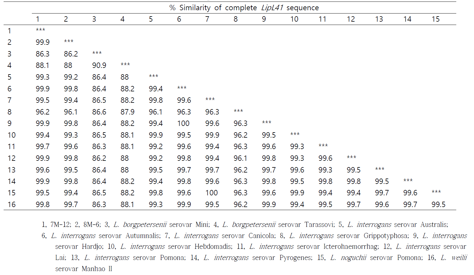1차년도 분리균주 여러 혈청형간의 LipL41 염기서열 유사 매트릭스