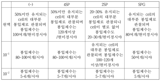 “0시간대“ 감염 48시간대의 봉입체 수