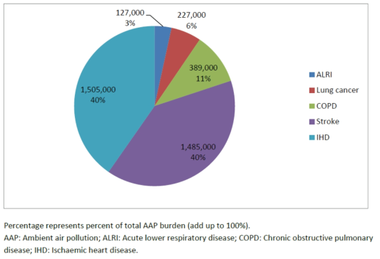 대기오염으로 인한 질병별 사망수(2012)