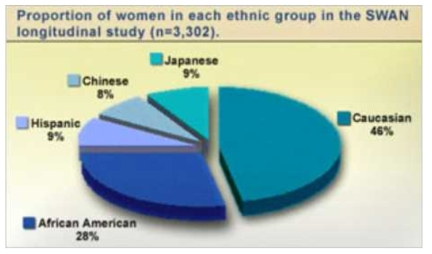 SWAN 연구 참여자 인종 구성비