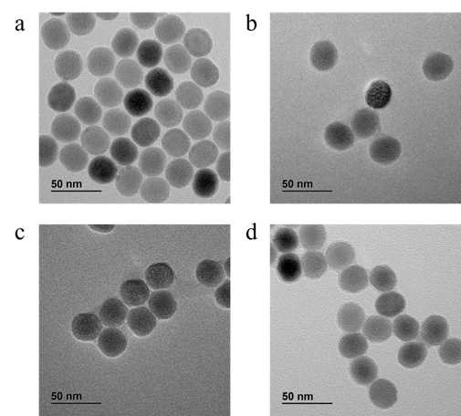 TEM images of UCNPs