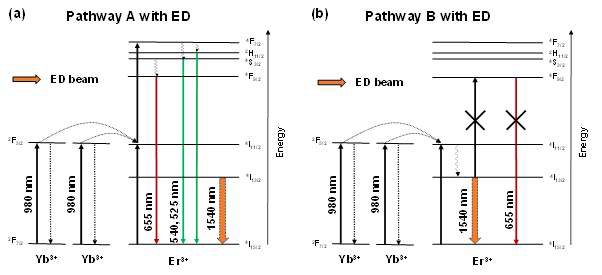 Energy diagrams of upconversion precess and the band-dependent STED.