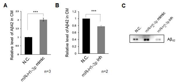 miR-H1-3p의 변화에 따른 Amyloid-β42의 변화 확인 결과