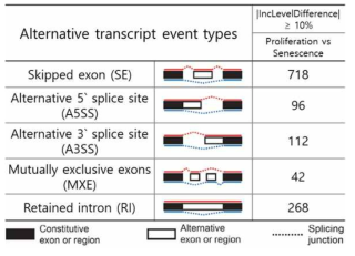 rMATS를 이용한 alternative splicing 분석