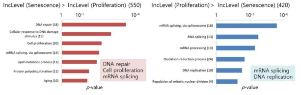 Alternative splicing 변화 그룹별 gene ontology 분석