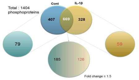 정량적 인산화 단백질체 분석법을 통해 동정한 인산화 단백질의 분류