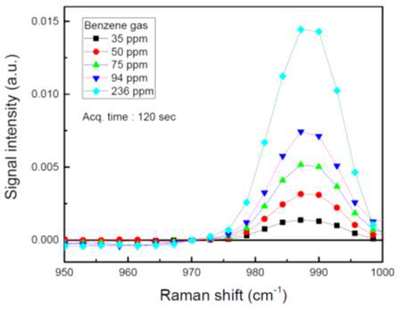 벤젠가스의 농도에 따른 990 cm–1 근처의 벤젠 분자만의 표면증강 라만밴드 세기 변화