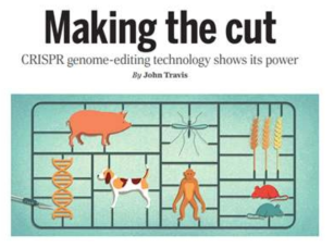 2015년 올해의 기술로 선정된 CRISPR 유전자 편집 기술