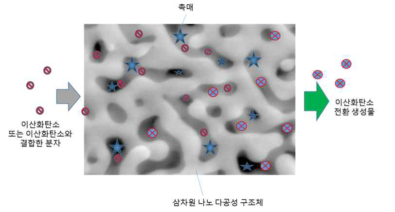 삼차원 나노 다공체 내에 고정된 이산화탄소 전환용 촉매 및 화학 반응 모식도.