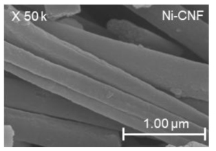 니켈-탄소나노섬유의 주사전자현미경 이미지.