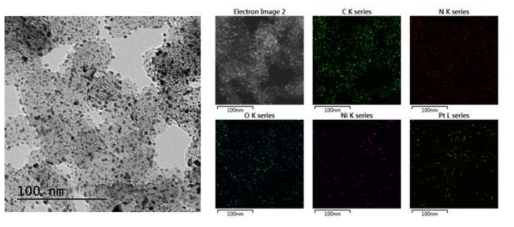Ni-Pt/C_TRCVD 촉매의 투과전자현미경 이미지 및 각 원소의 EDX mapping.