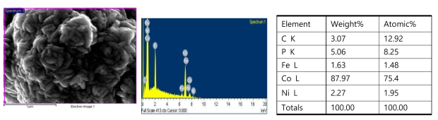 무전해 도금으로 합성된 촉매의 (좌) 주사 전자 현미경 사진, (중) 에너지 분산 분광학, (우) 조성 분석표