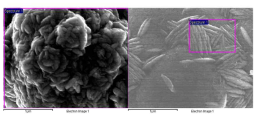 pH 조건에 따른 Co-Ni-Fe-P 촉매 표면의 주사 전자 현미경 사진