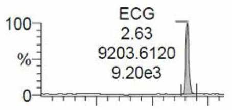 ECG의 LC-MS/MS 크로마토그램(RT 2.63분).