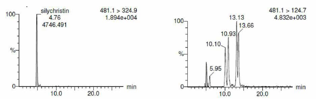 실리크리스틴 표준품의 크로마토그램 (481 ion -> 325 ion), (481 ion -> 125 ion).