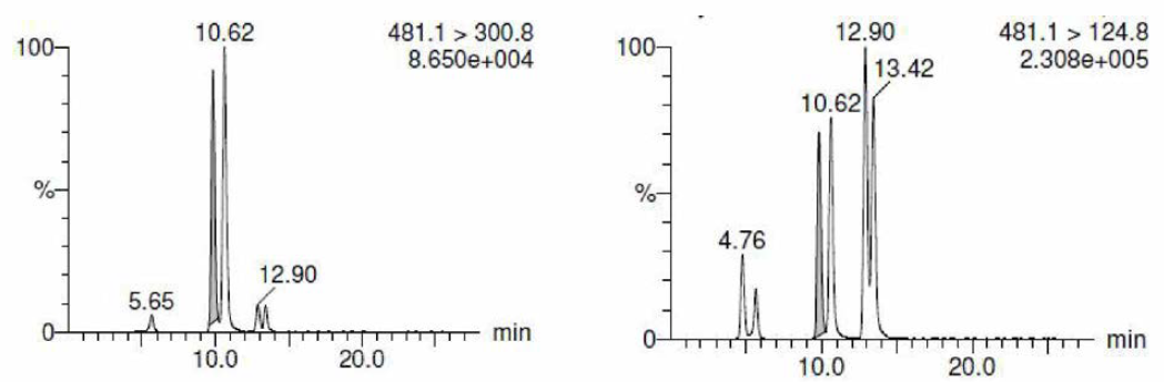 실리 빈A, 실리빈B 표준품의 크로마토그램 (481 ion -> 301 ion), (481 ion -> 125 ion).
