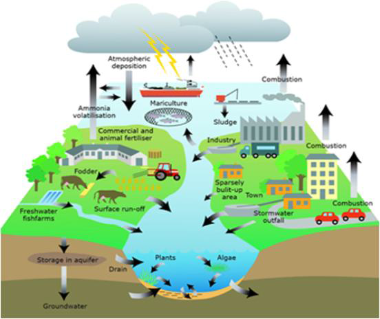 The source of pollution in aqua-system