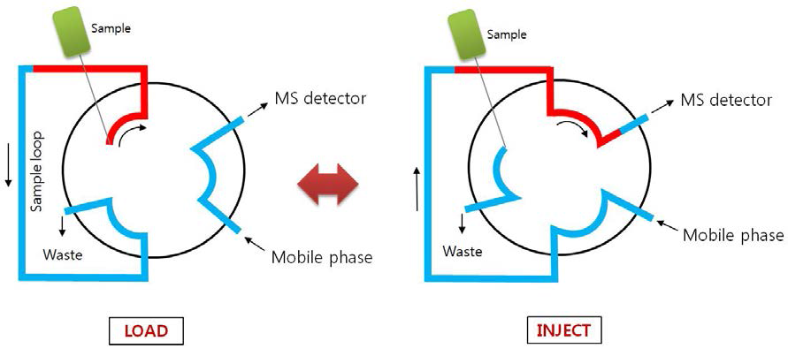 Schemetic representatin of the flow-injection mass spectrometry